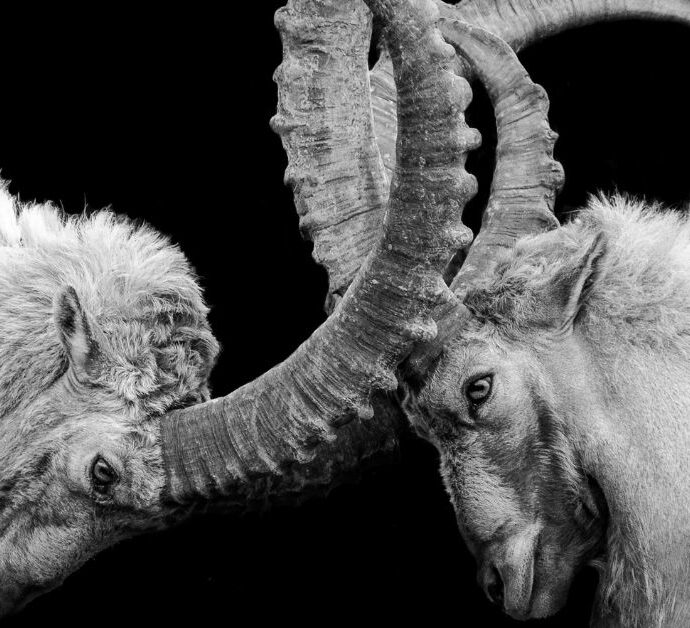 React vs. respond: 2 verschillende manieren van reageren die veel zeggen over emotionele volwassenheid