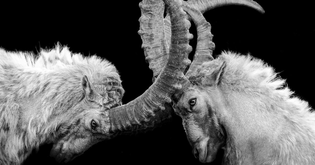 React vs. respond: 2 verschillende manieren van reageren die veel zeggen over emotionele volwassenheid